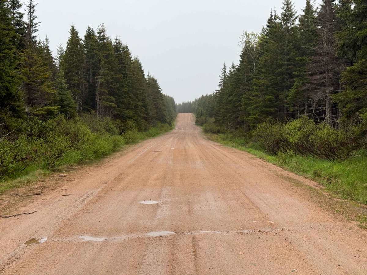Kelly Road photo 3