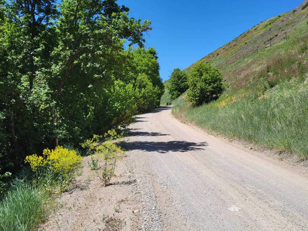 Mount Pisgah Road photo 4