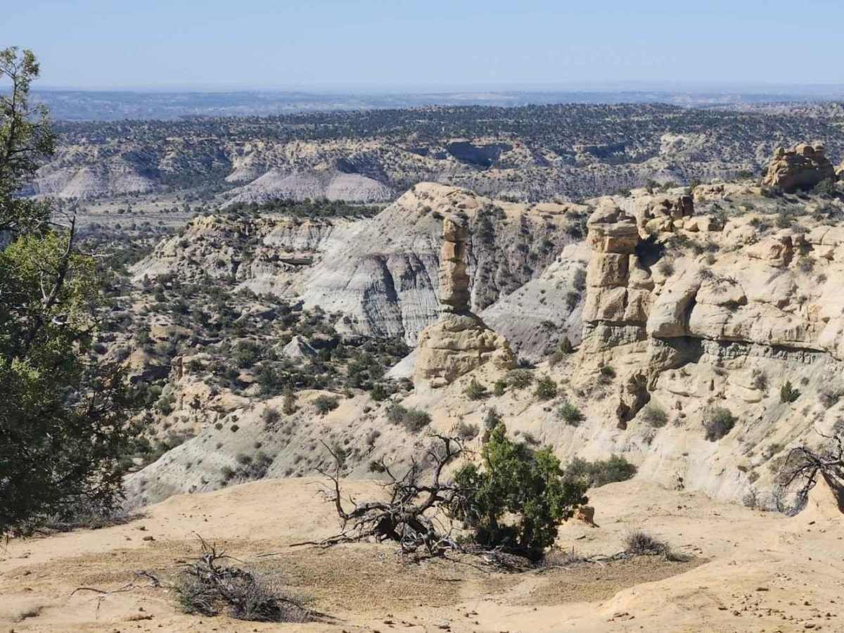 Glade North - Upper Mesa Trail photo 2