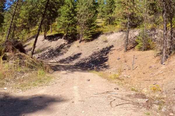 Deep Creek Road Spur Loop