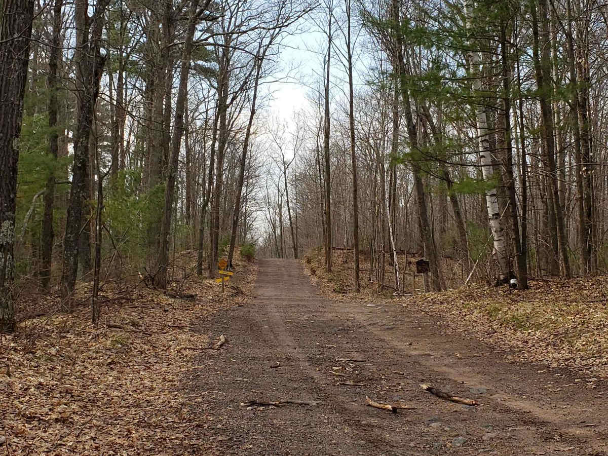 Trail 31 Segment 2 photo 2
