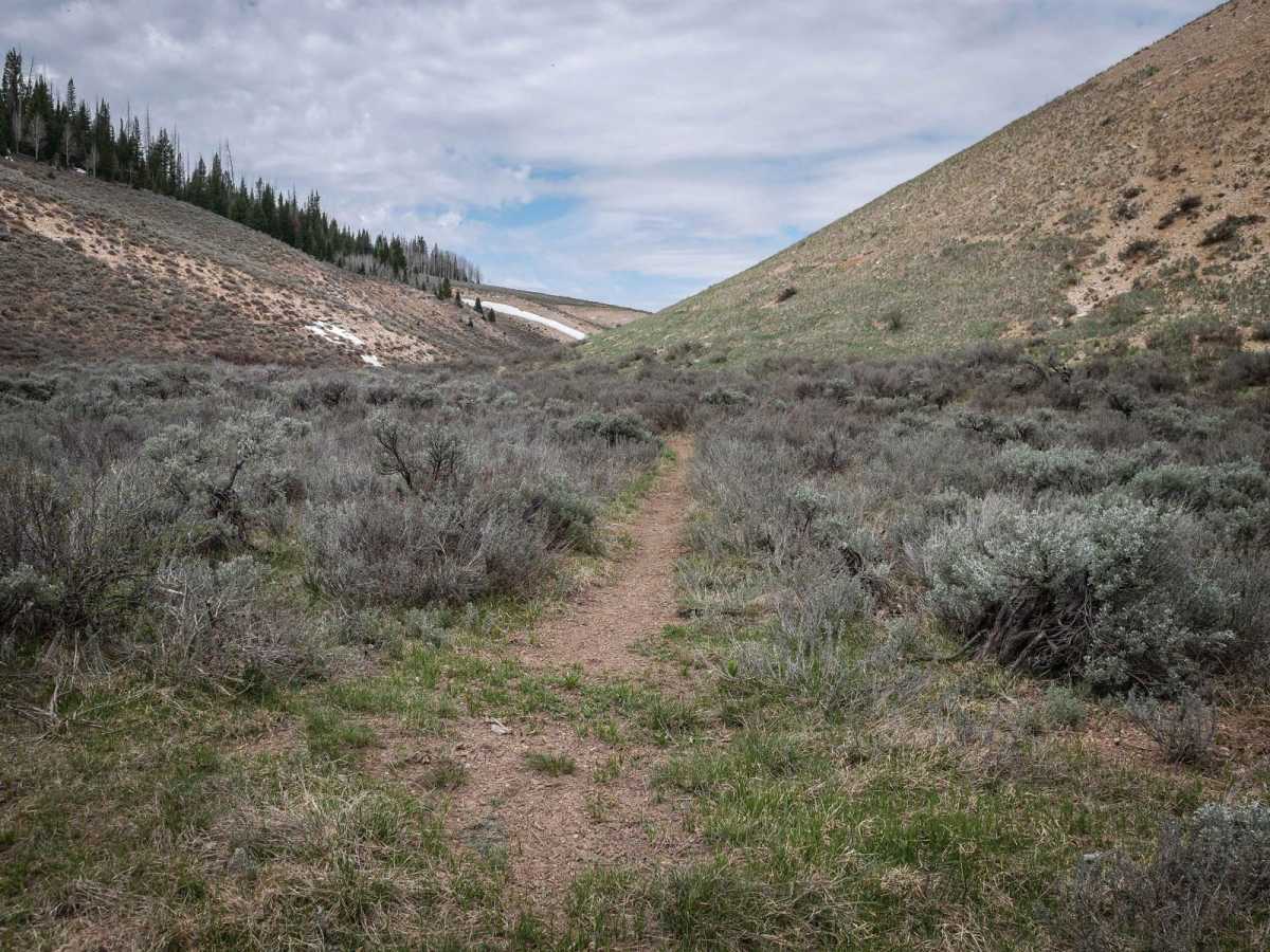 Willow Creek #025 photo 6