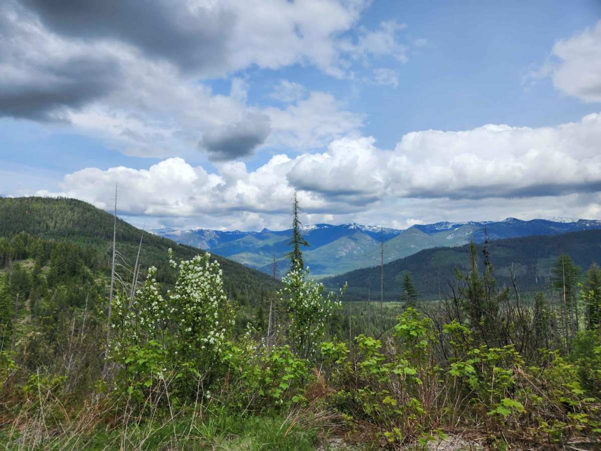 Spar Lake Road photo 4
