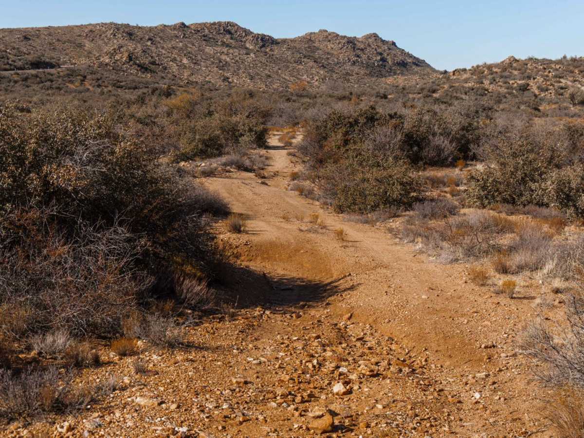 Quail Spring Cutoff photo 4