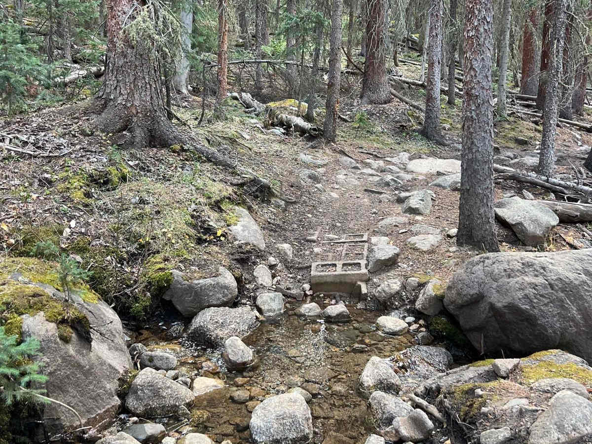 Timberline Trail #414 photo 4