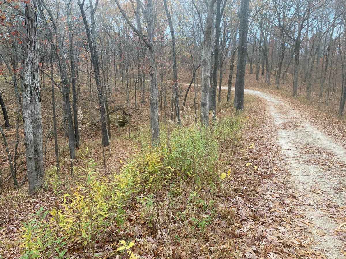 Opossum Trot Road SFR 628 trail photo