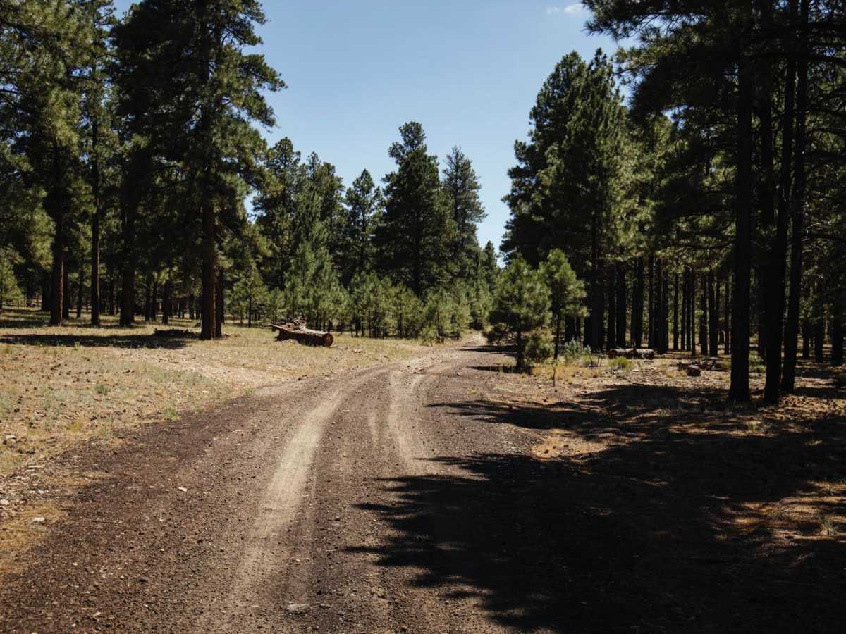 Old 101 Road photo 4