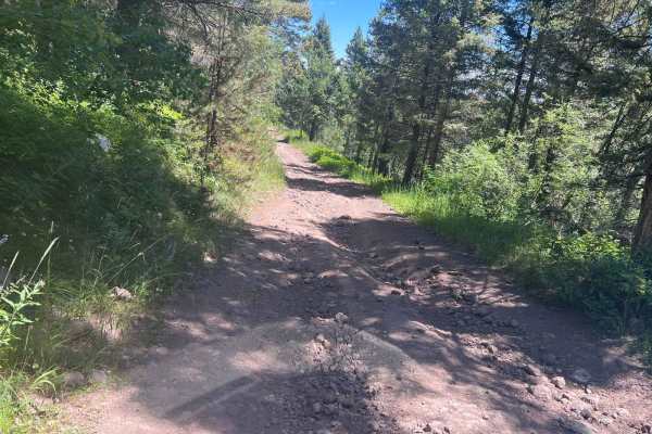 July Creek Road (20303)