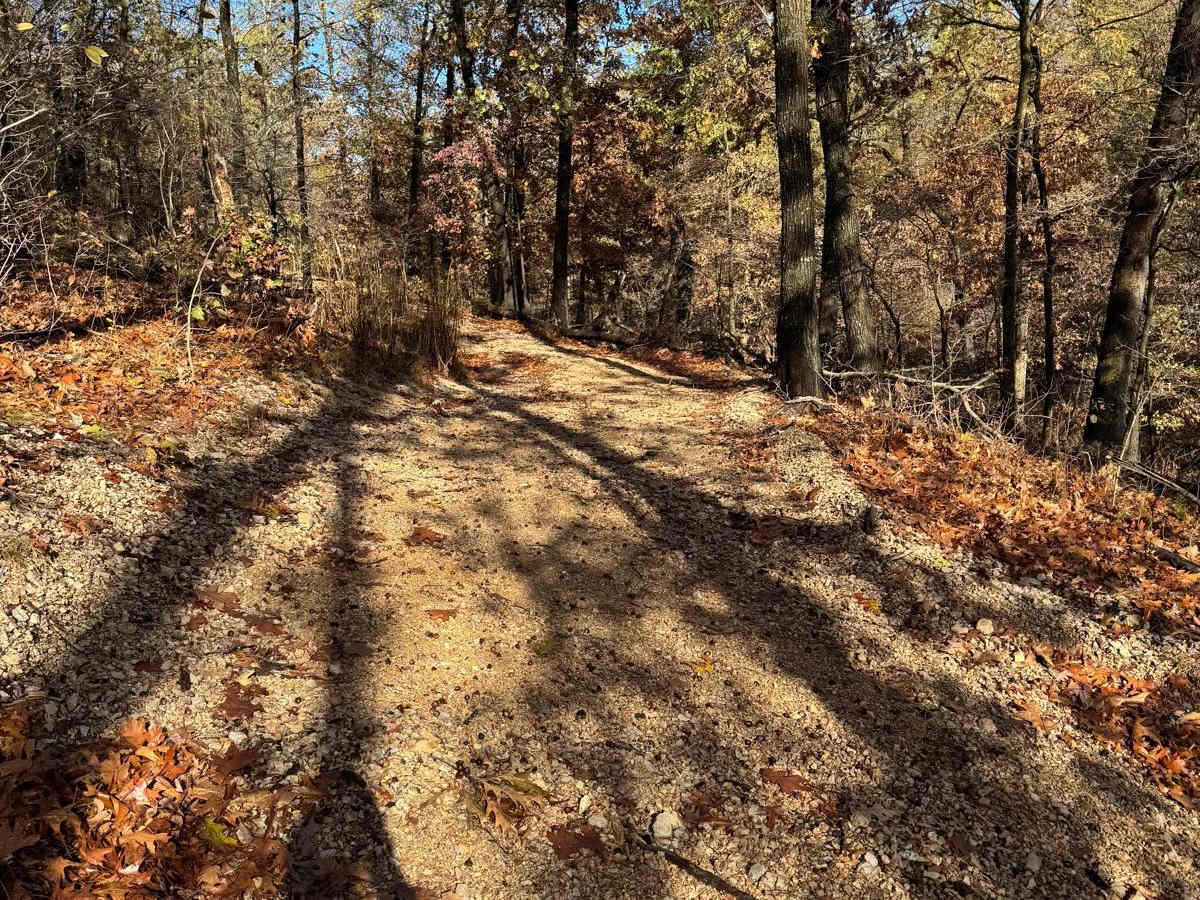 Red 106 trail photo
