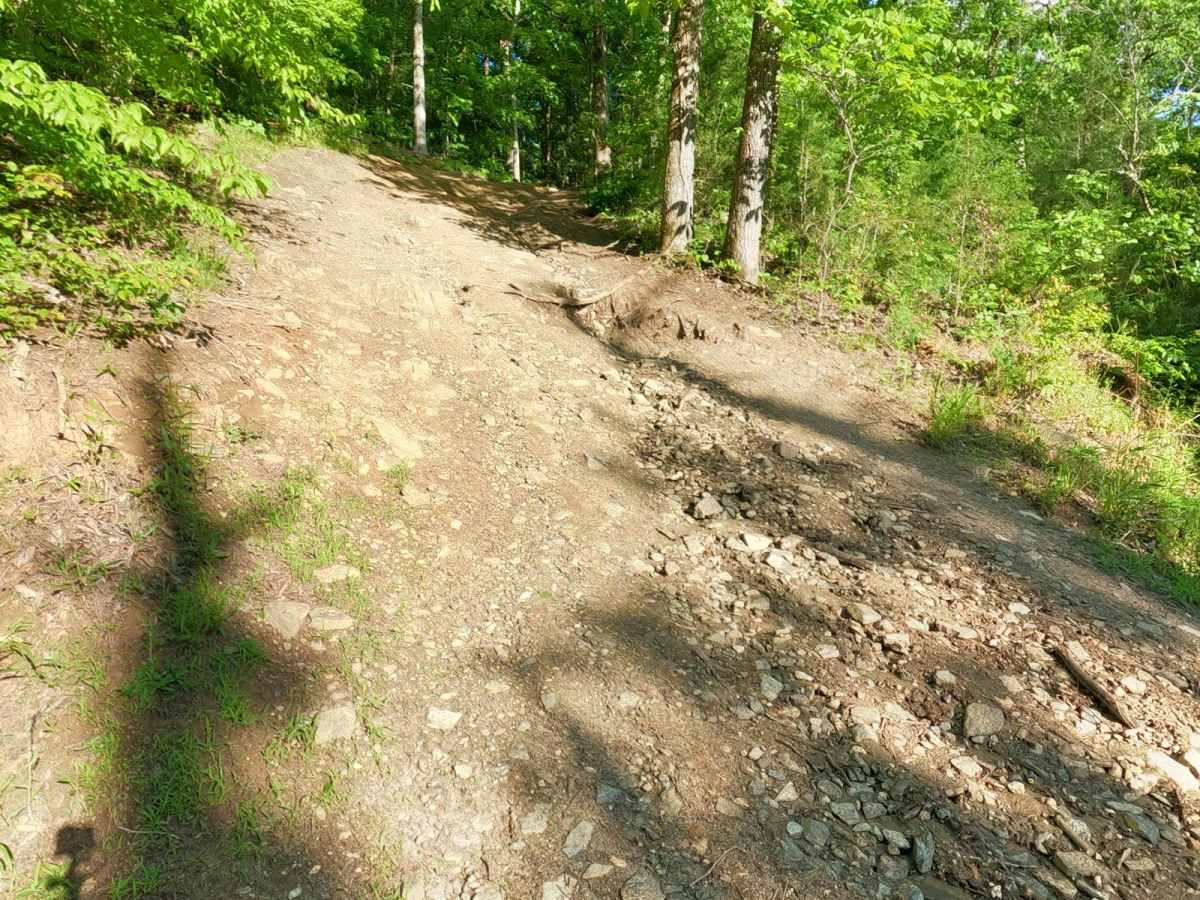 Oak's Detour trail photo