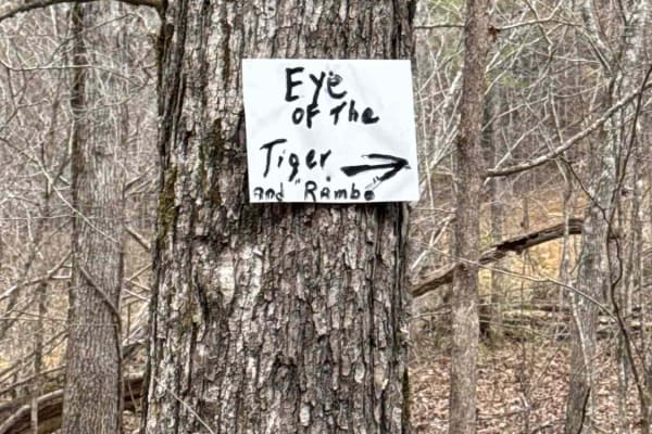 Eye of the Tiger