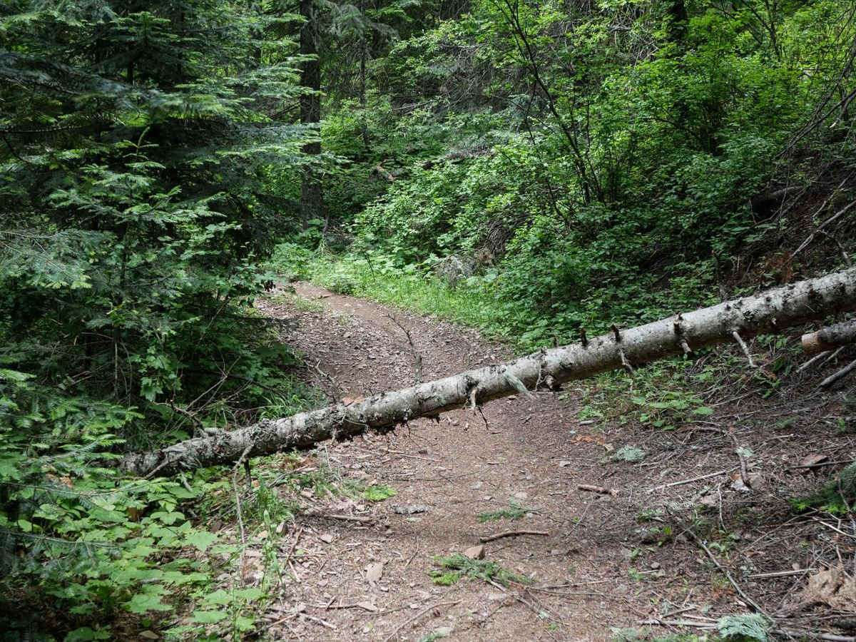 Dry State OHV photo 6