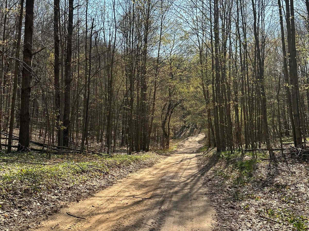 Cadillac Area ORV/OHV Scenic Ride - Part 10 photo 2