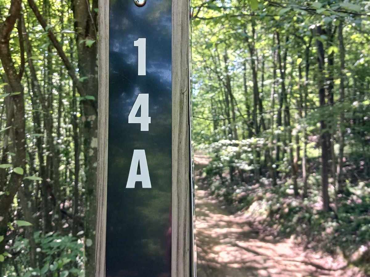 Trail 14A - Rock Run Recreation Area trail photo