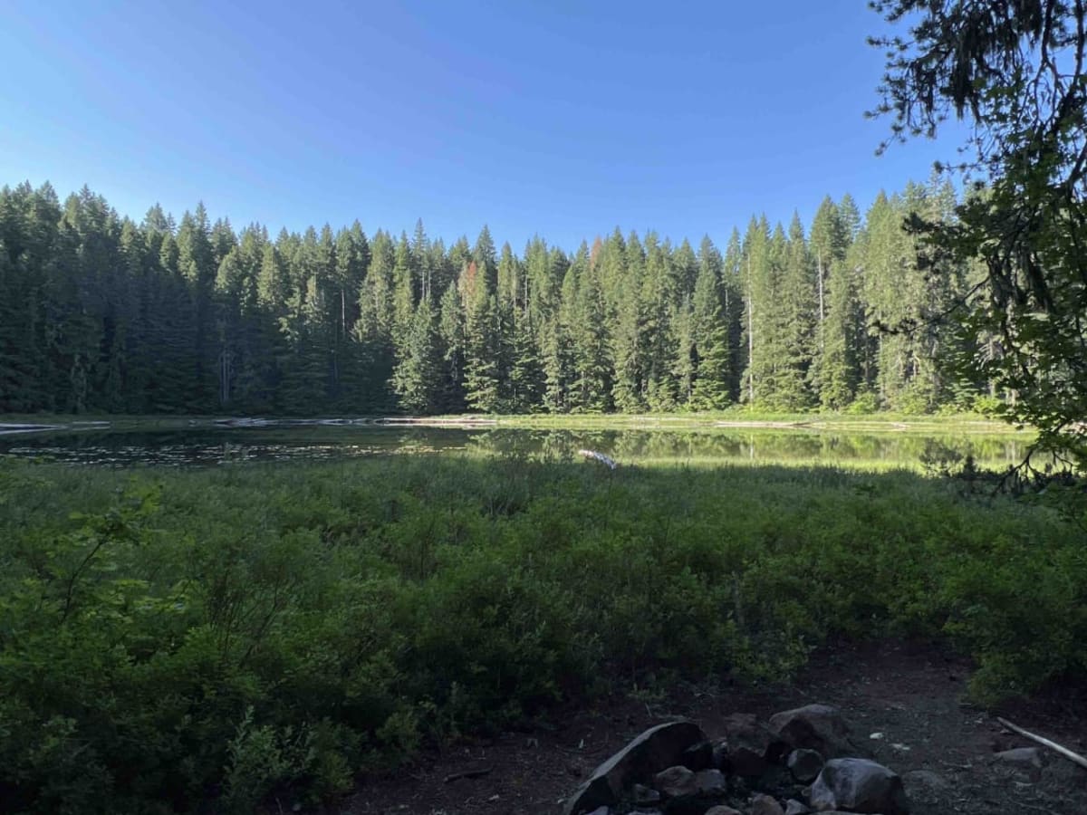 Horn Creek 2257 photo 6