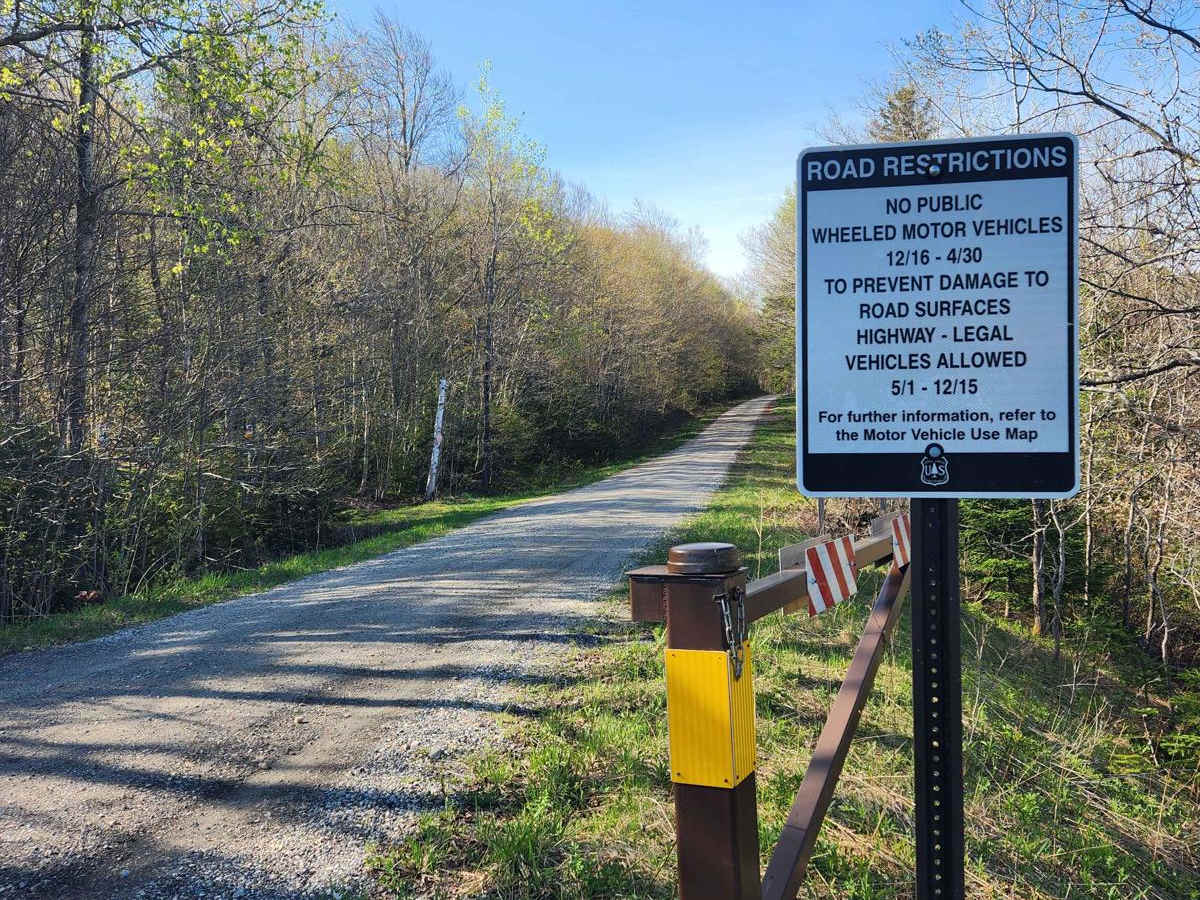 US FSR 74 trail photo