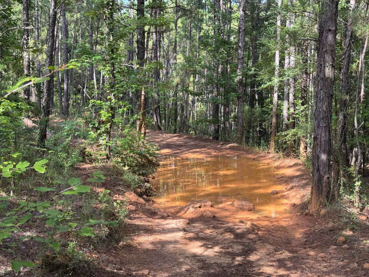 Soli Hull Street trail photo