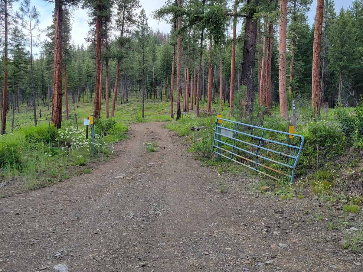 Cabin Creek trail photo