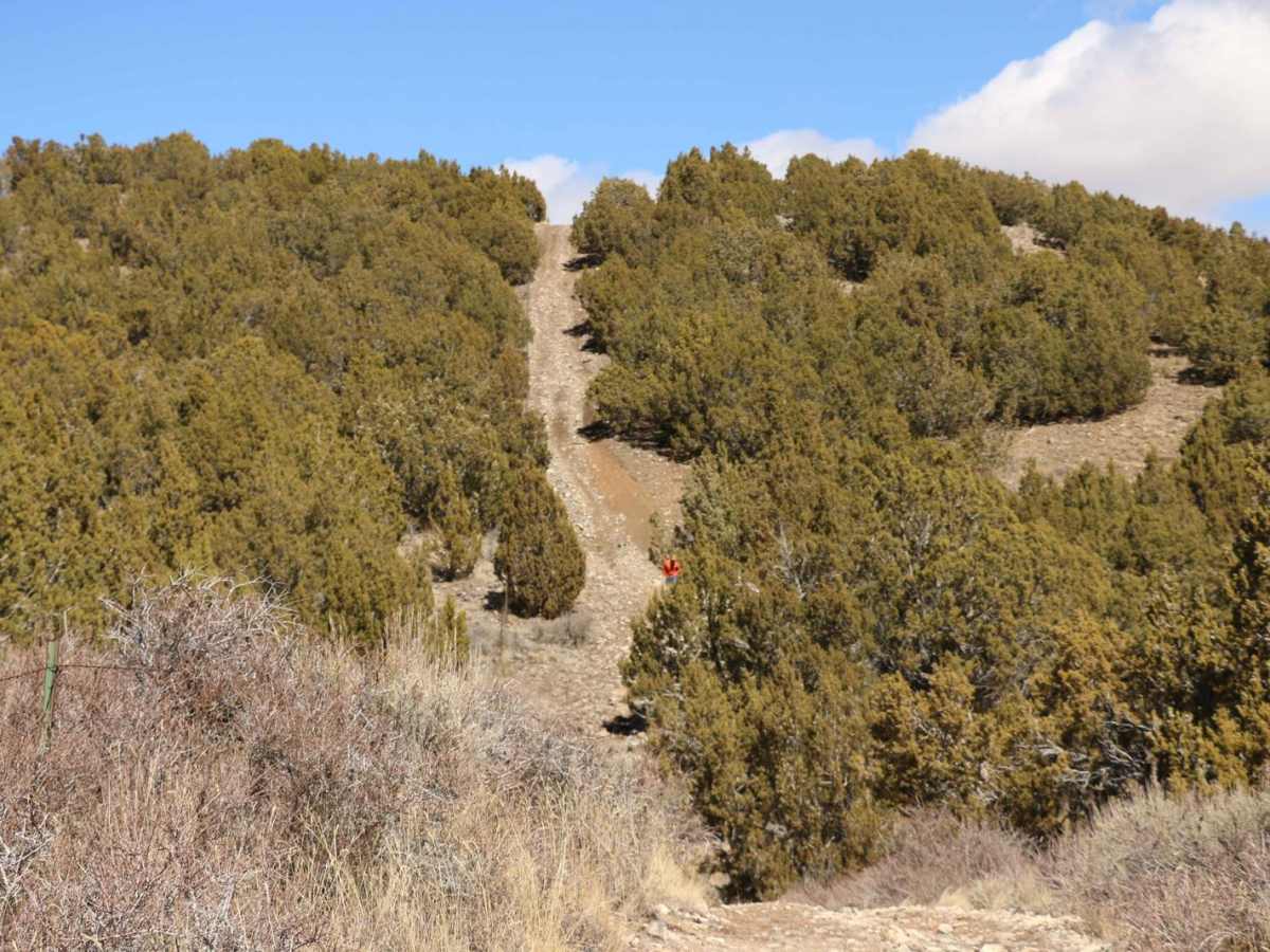 Little Mountain Loop photo 4