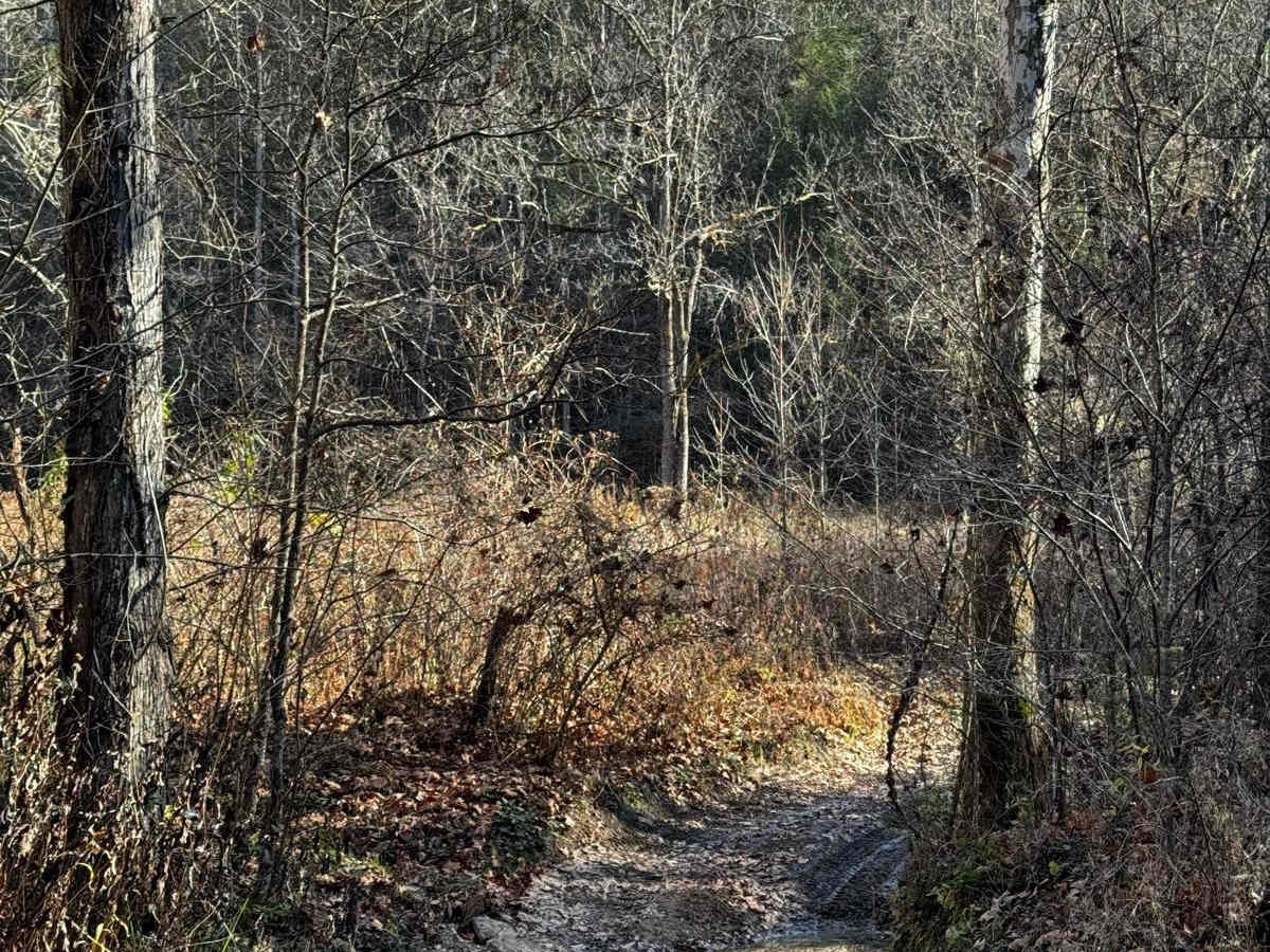 Clifton Ridge Road photo 4