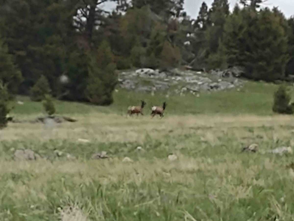 Badger Creek photo 2