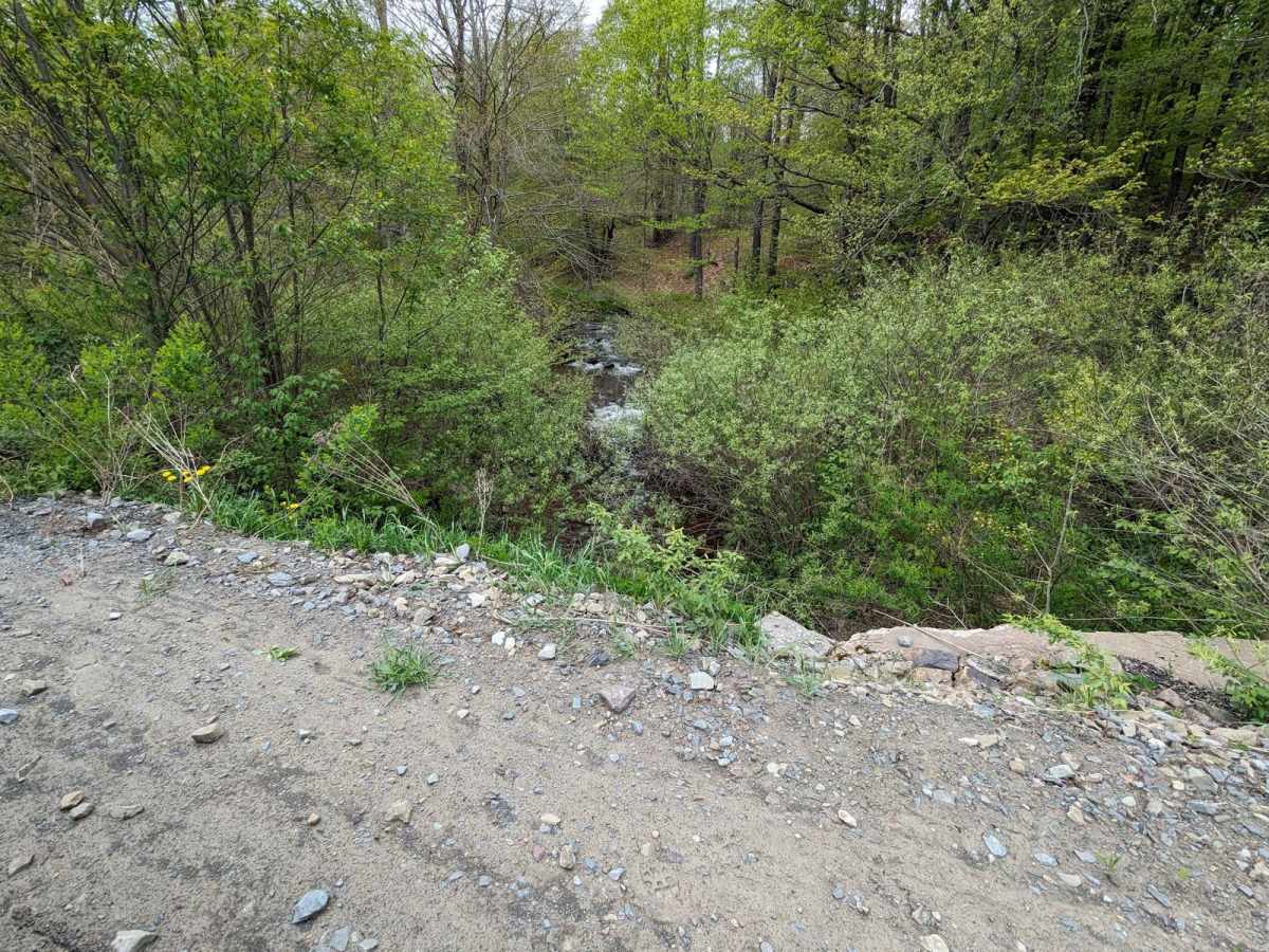 CCC Road photo 5