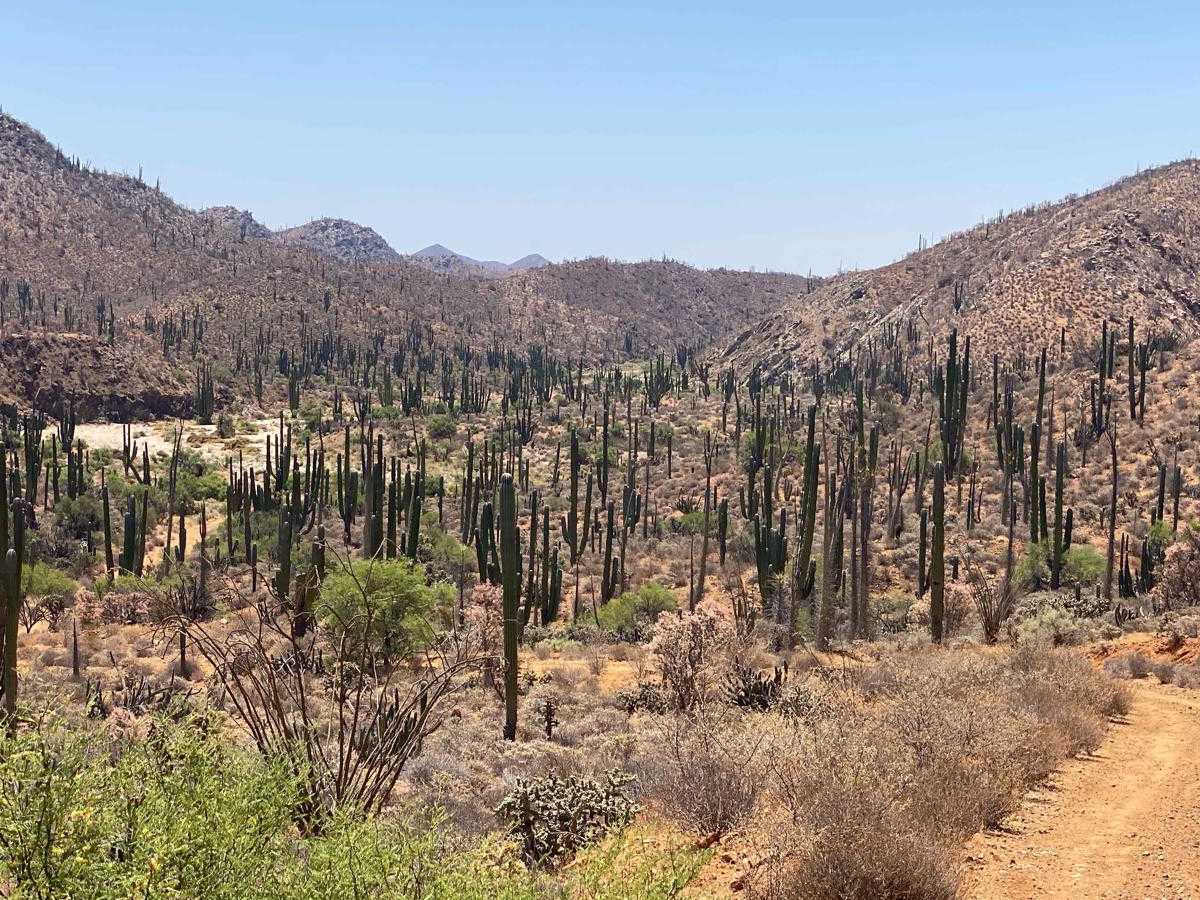 Enchanted Valley to Mina Marmolito trail photo