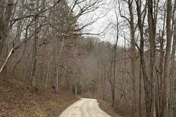 Clover Bottom Creek Road