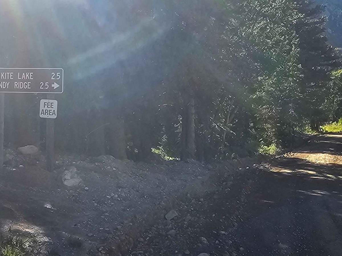 Dolly Varden Road (Windy Ridge) photo 2