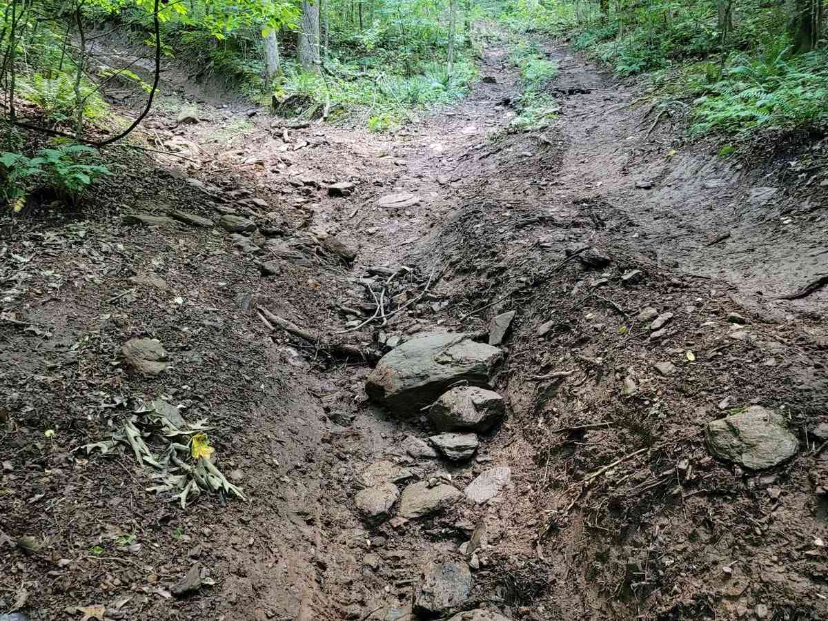Hard Access photo 5