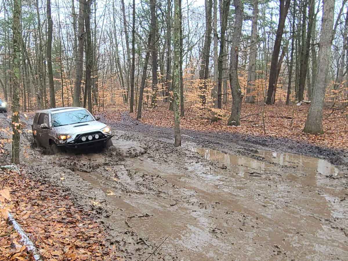 Forest Road 9381 photo 4