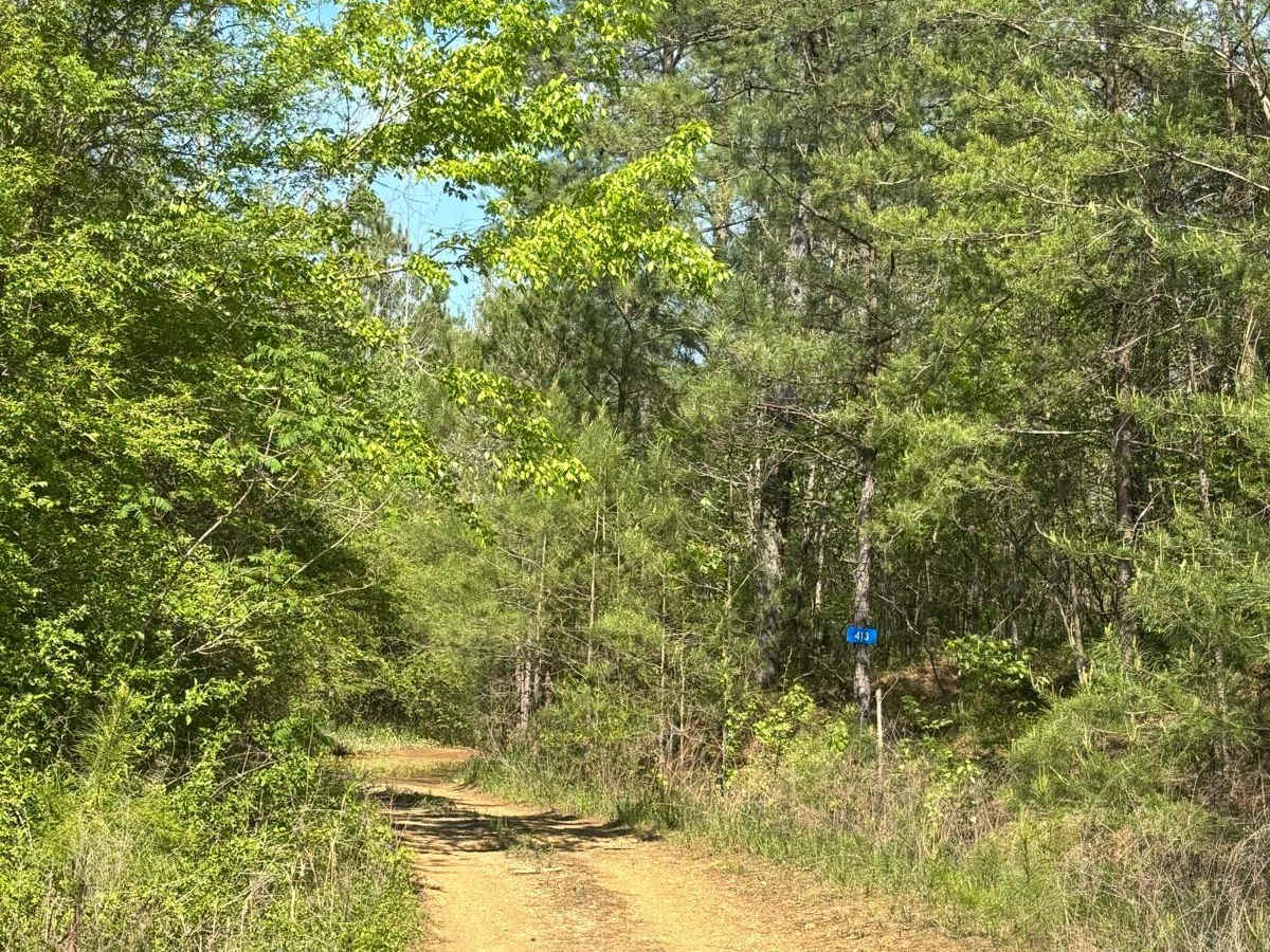 413 trail photo