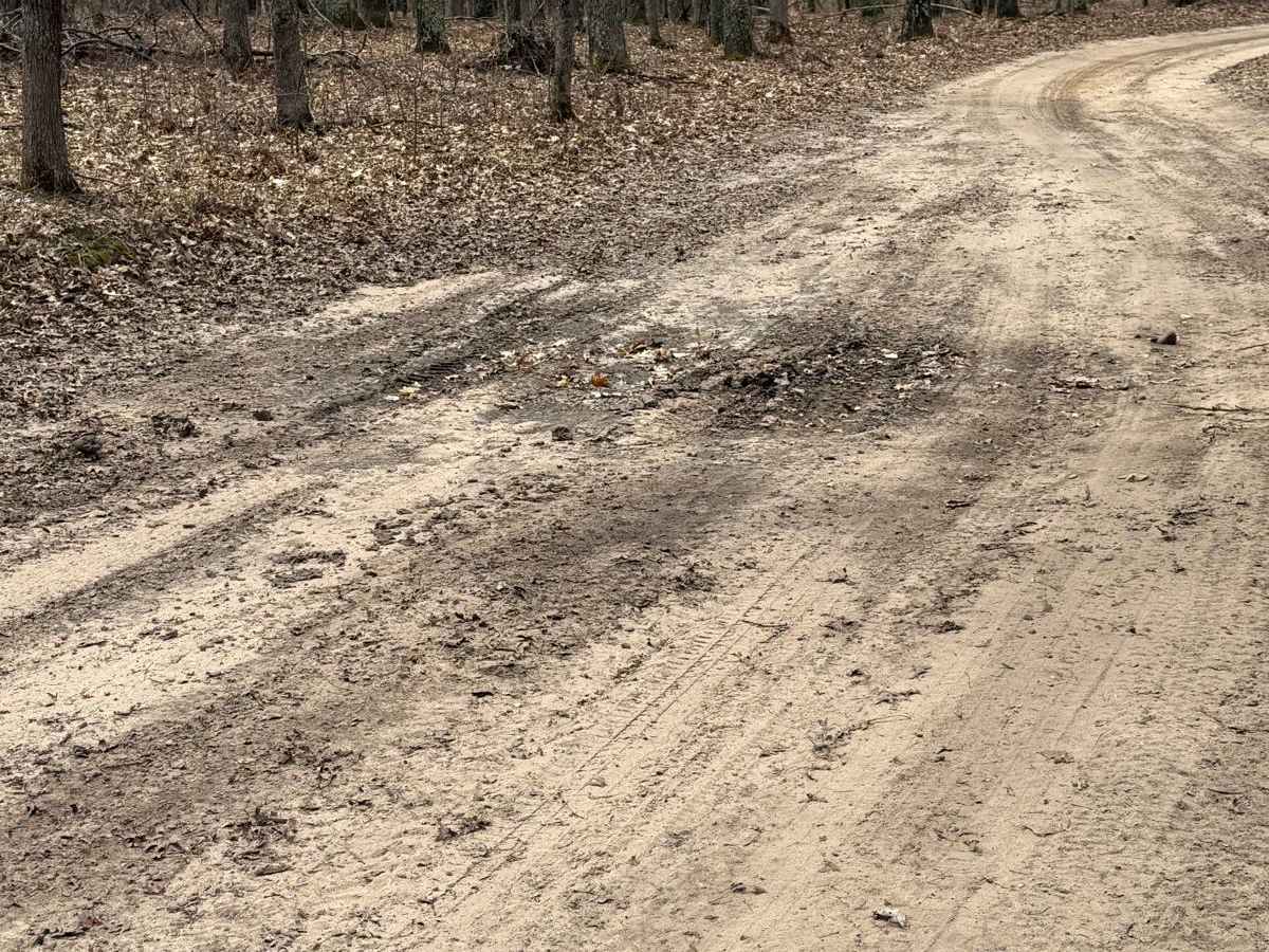 NFS 5451 trail photo
