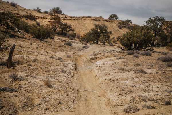 Green Trail