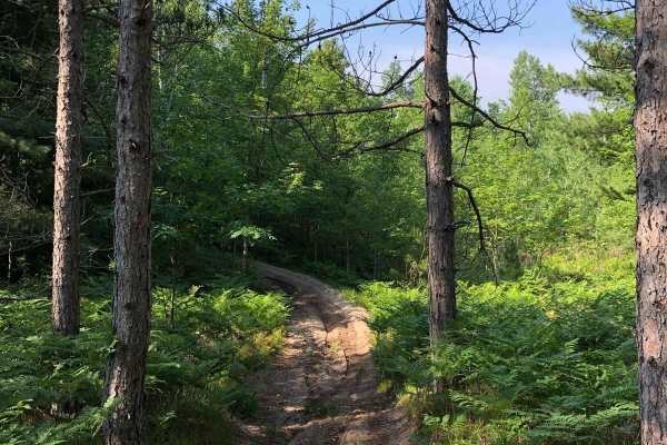 North Missaukee Trail - 14478 & 14167
