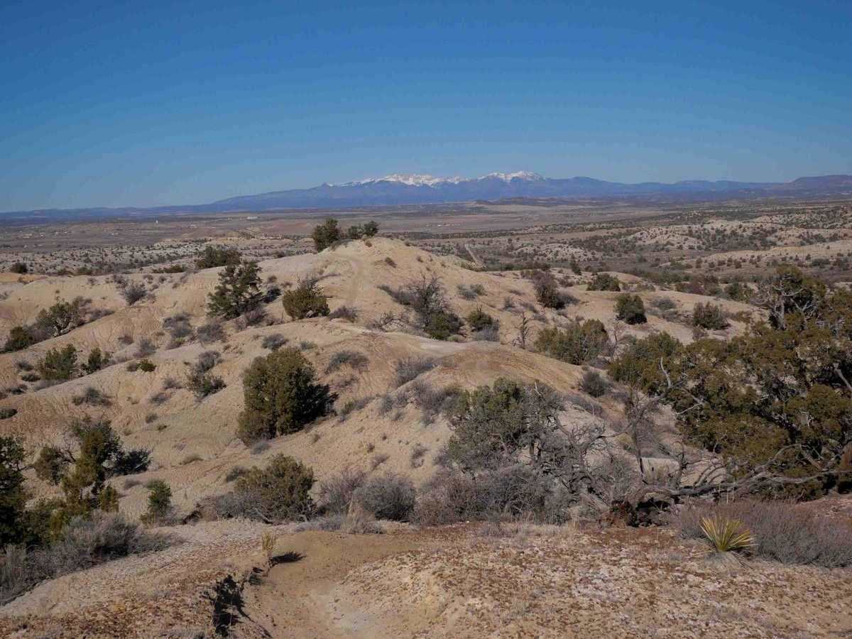 Mini Ridge Singletrack photo 4
