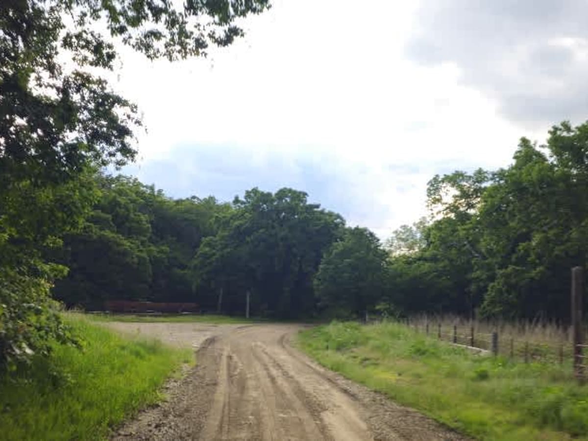 Clapboard Ravine photo 6