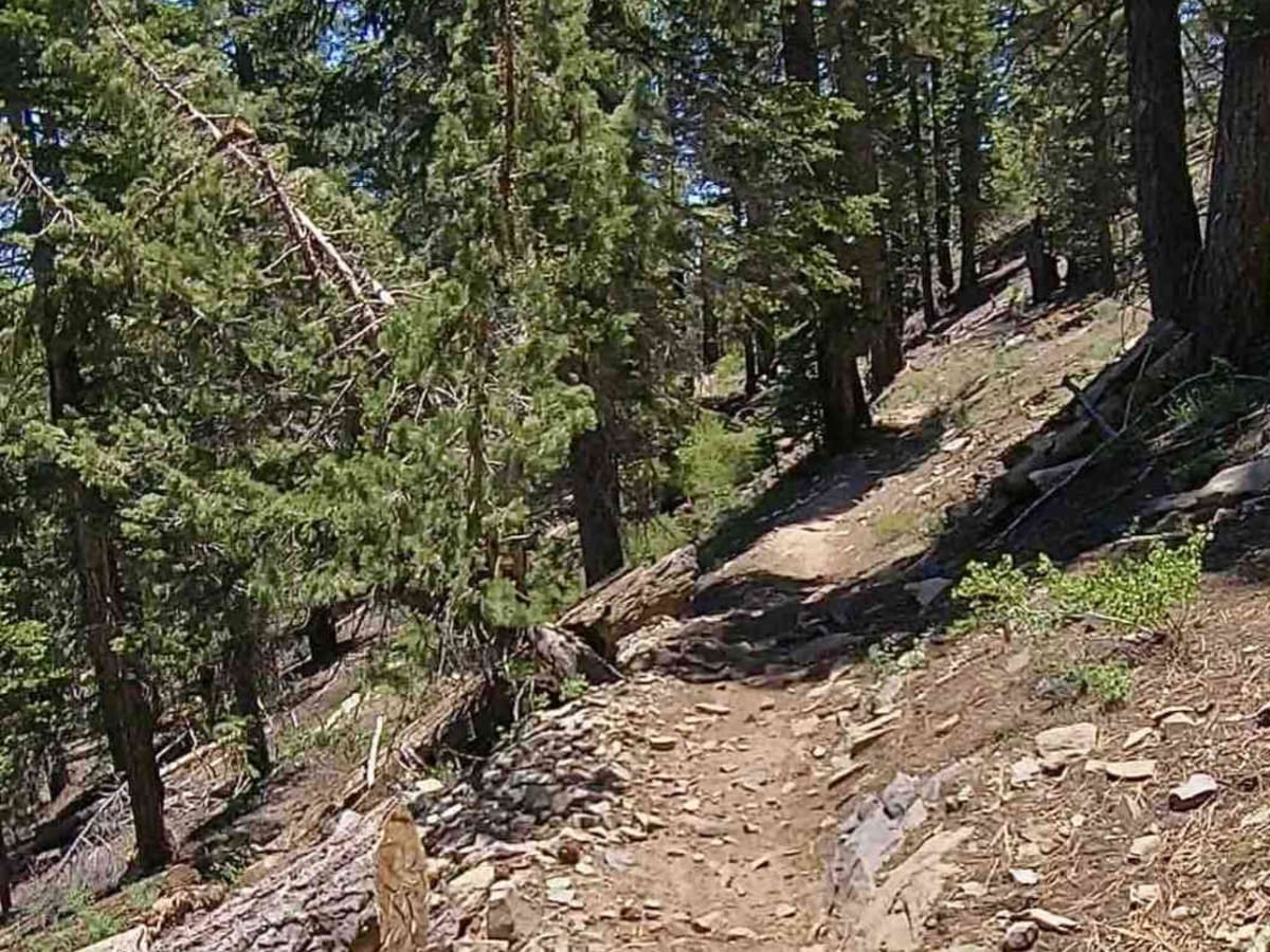 Beach Ridge Trail photo 5