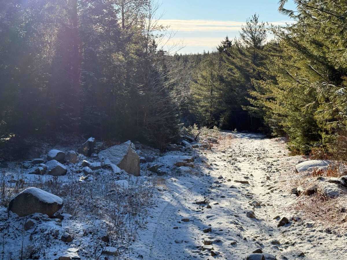 Dynamite Trail photo 5