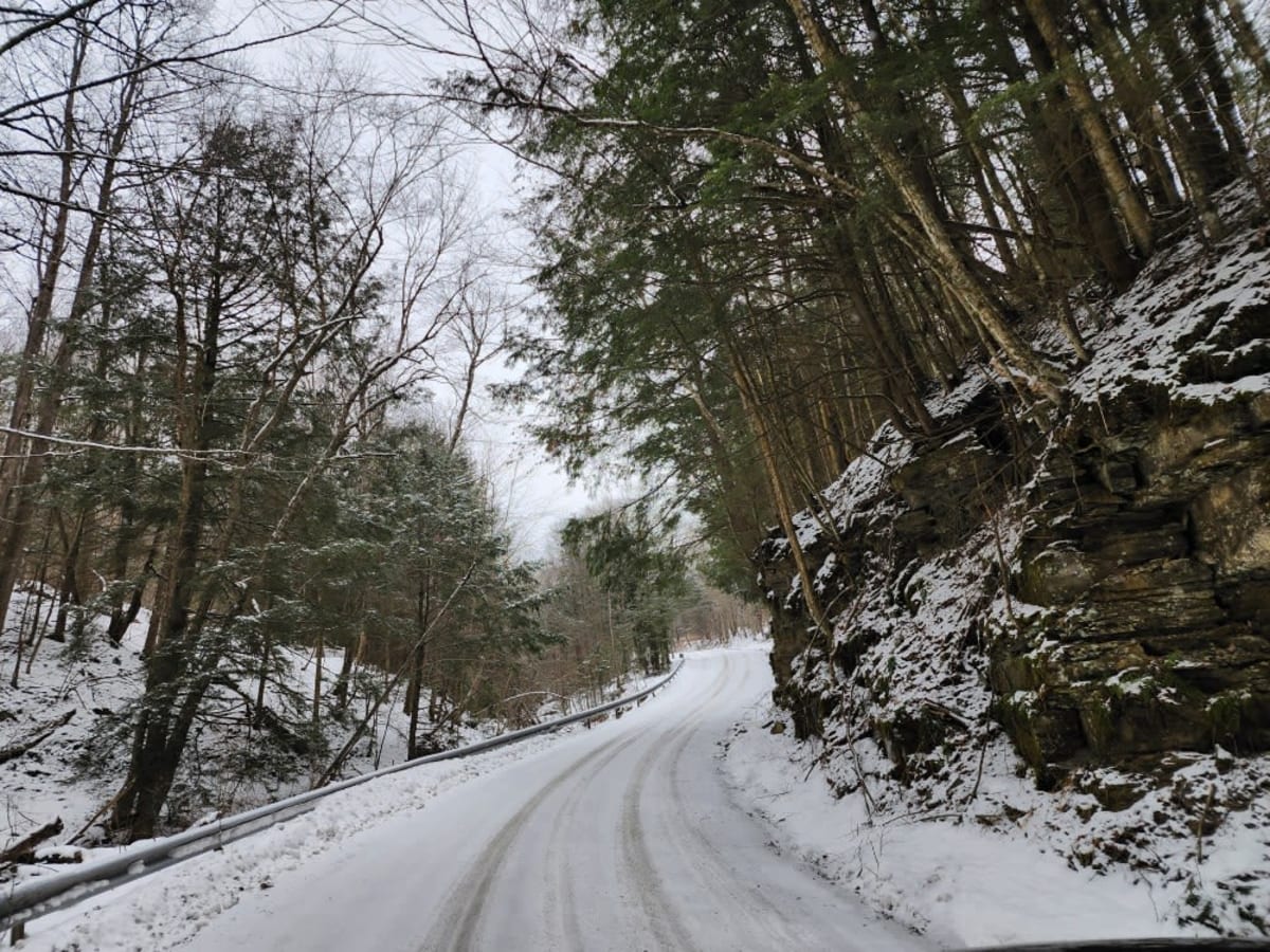 Buck's Brook Track photo 4