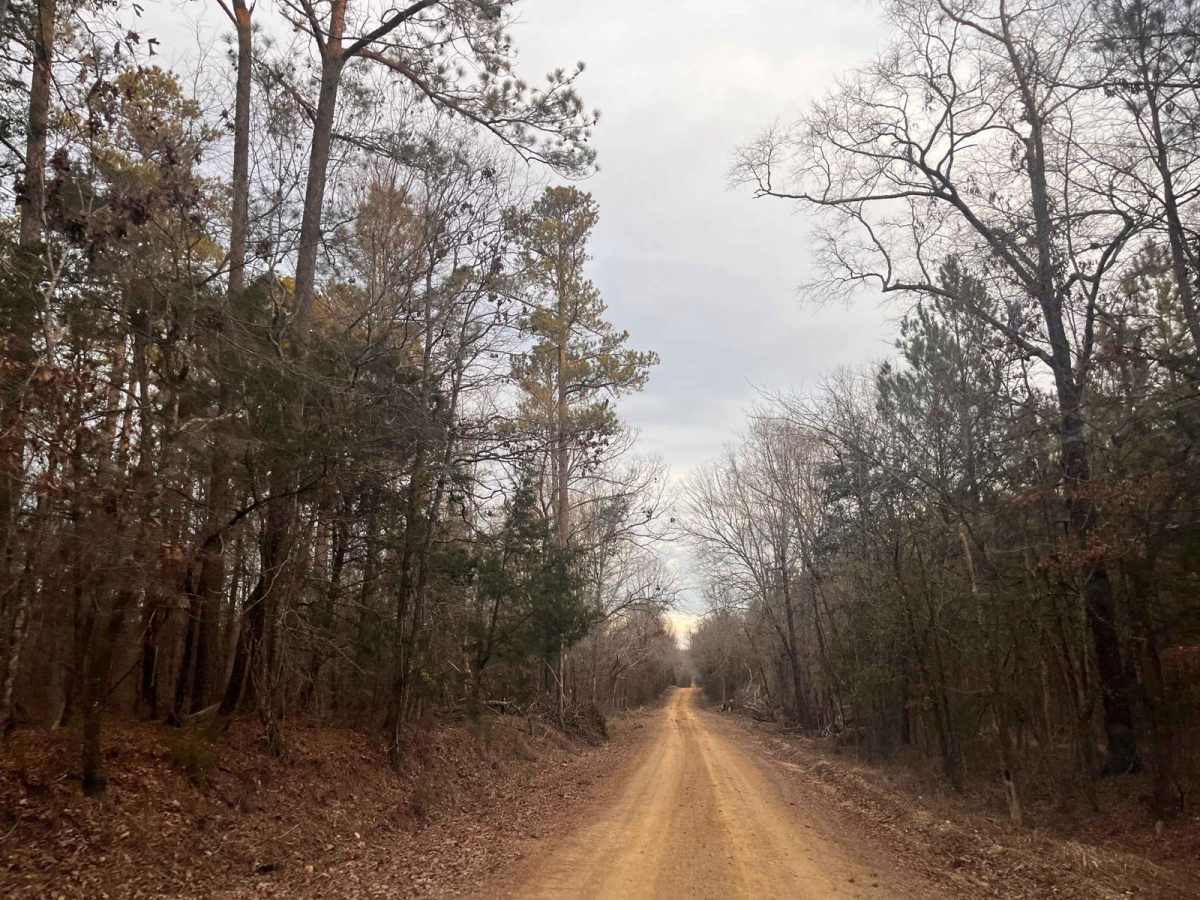 Ephrian Road photo 4
