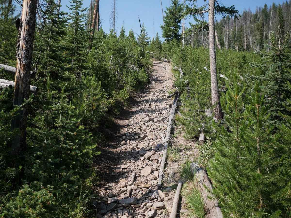 Sawmill Creek photo 5