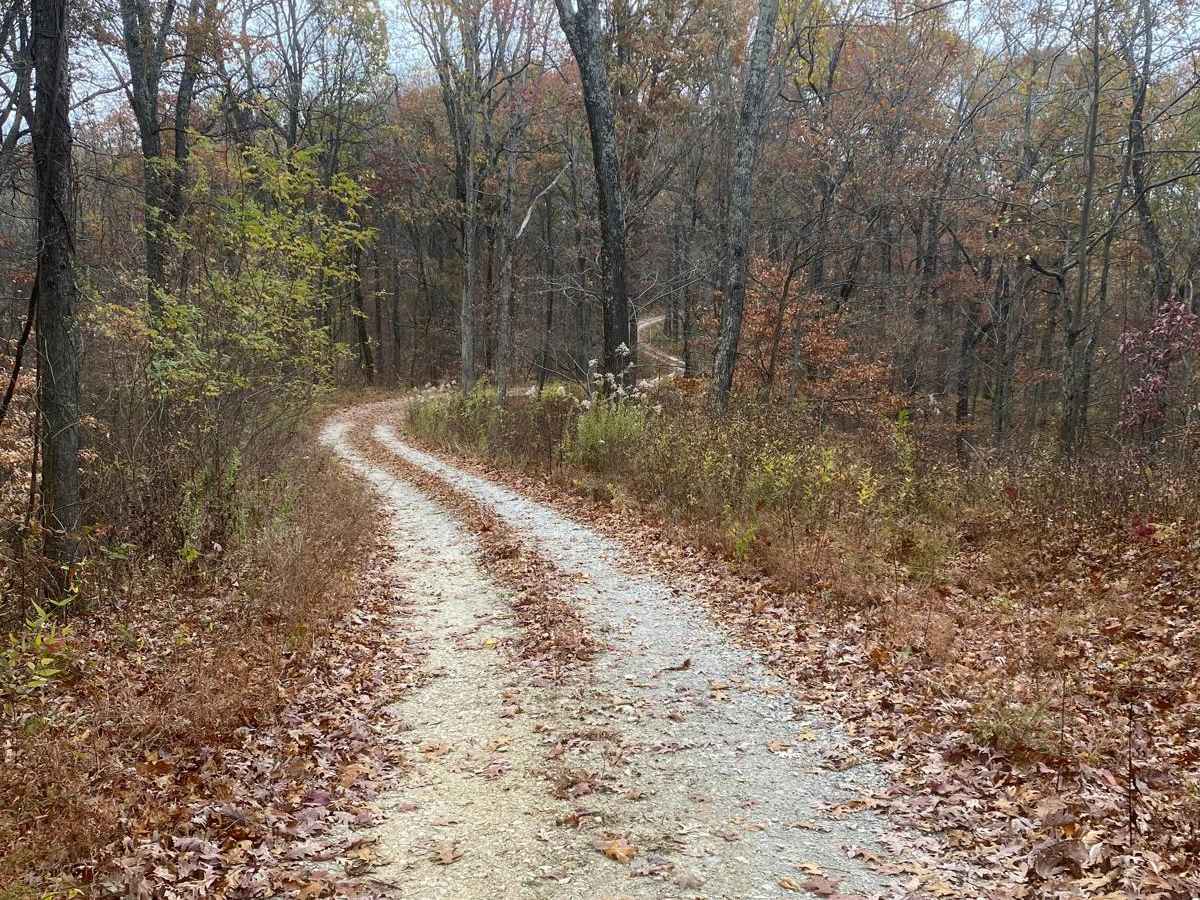 Opossum Trot Road SFR 628 photo 5