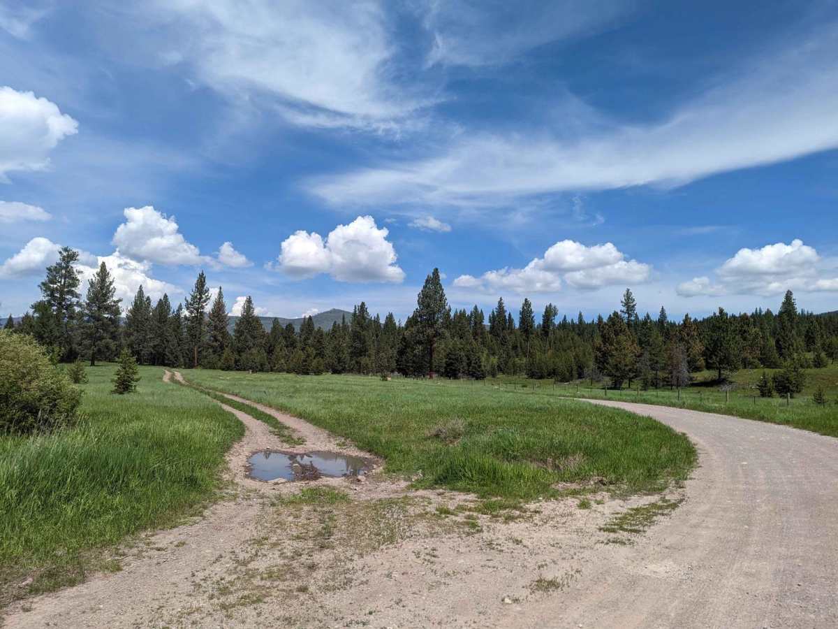 Gold Creek Trail 126 (Seasonal Access) photo 5