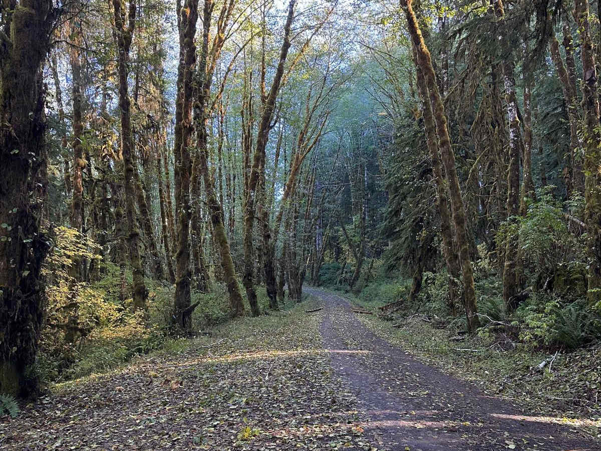 Butler Creek Mainline photo 3