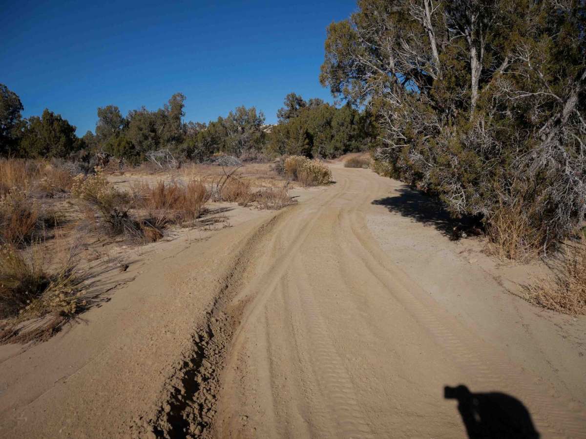 Sand Wash ATV photo 5