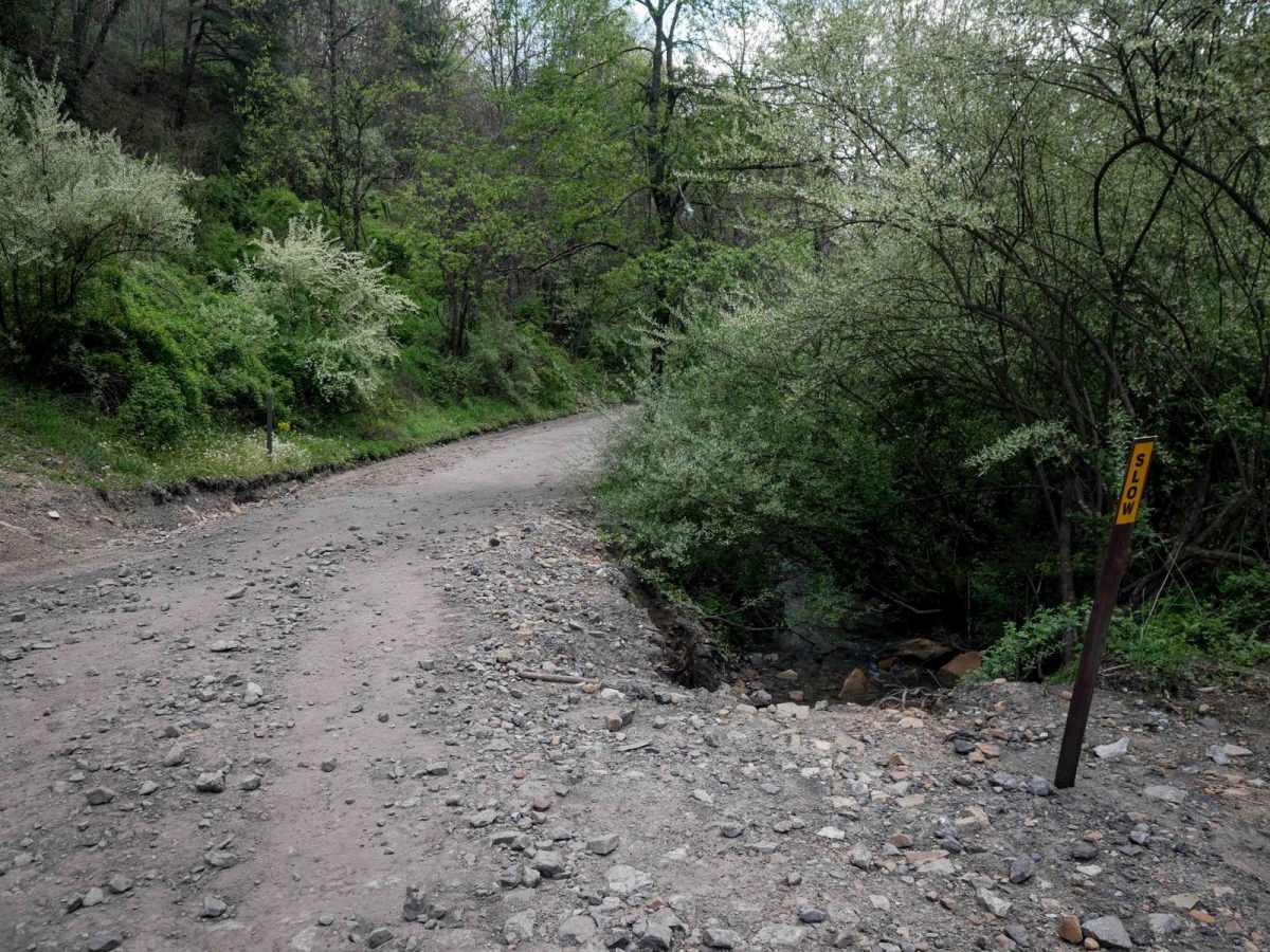 P17 trail photo