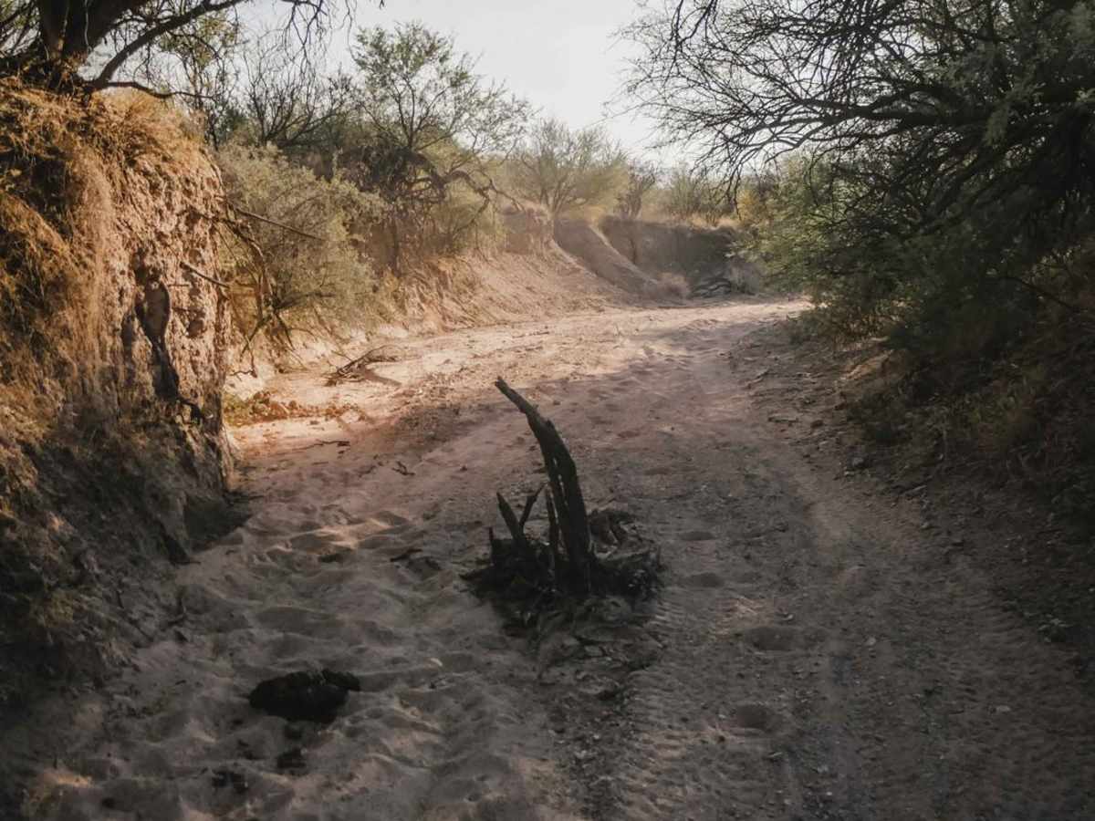 Sand Wash #527 photo 5