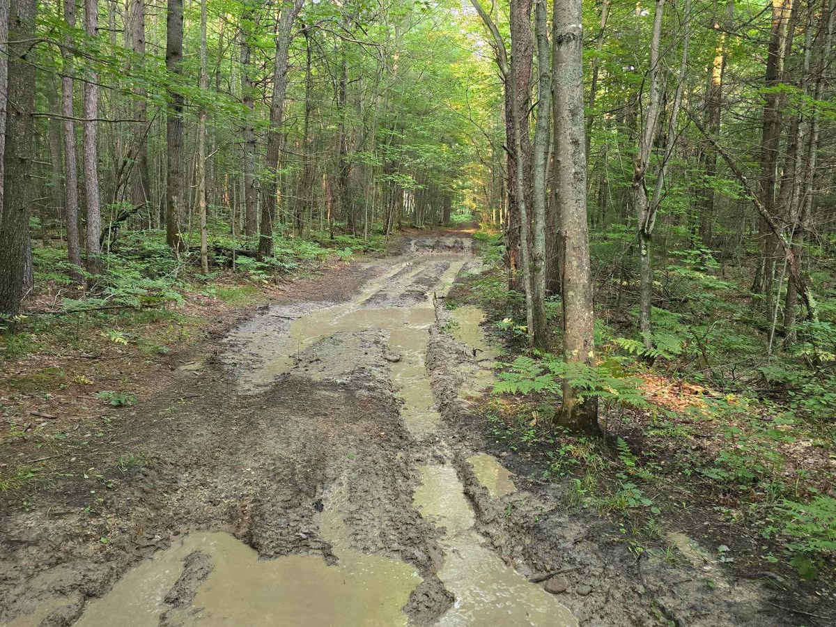 Camp Trail photo 2