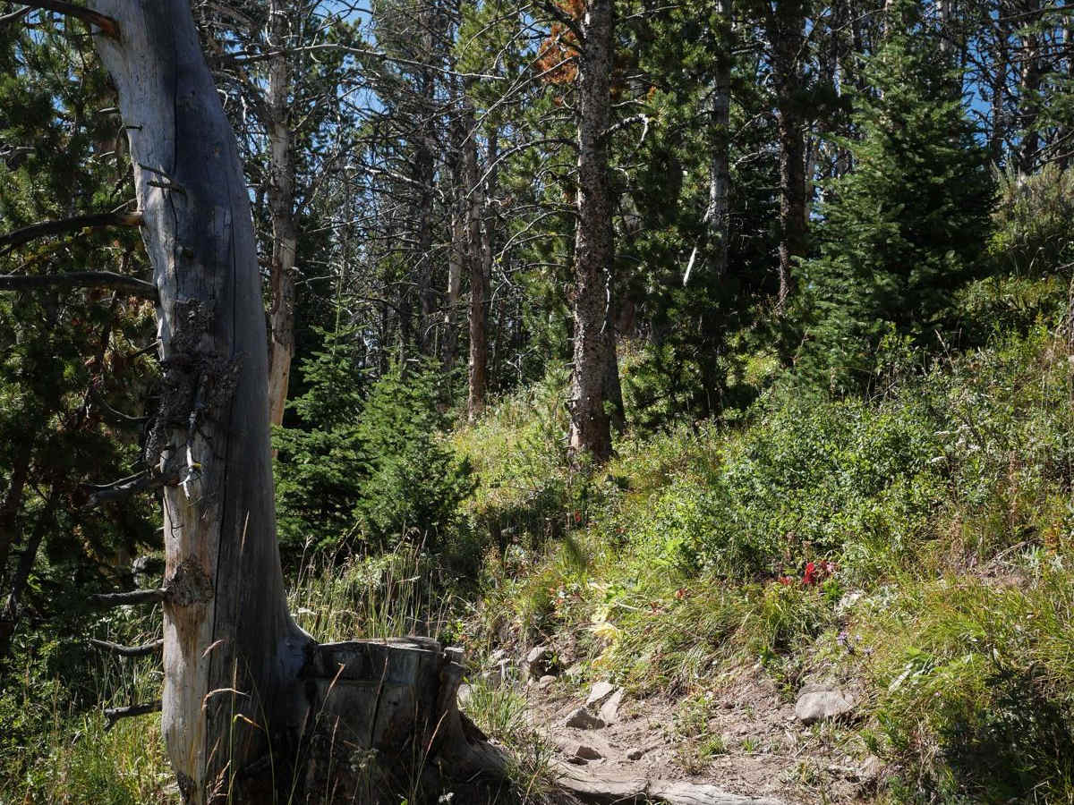 Lizard Lakes photo 4